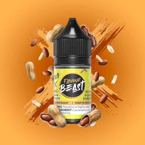 Flavour Beast E-Liquid&Nic Salt - Churned Peanut