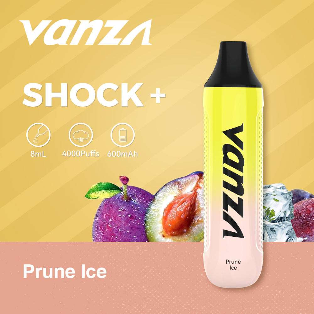 Vanza Shock+ 4000Puffs Disposable Vape - plum ice